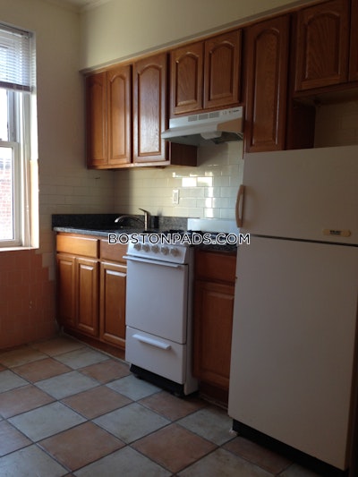 Allston/brighton Border Apartment for rent 1 Bedroom 1 Bath Boston - $2,100