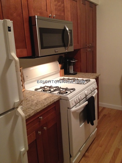 Brighton Apartment for rent 1 Bedroom 1 Bath Boston - $2,295