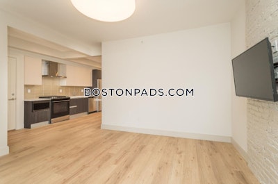 Mission Hill 4 Beds 2 Baths Boston - $7,250