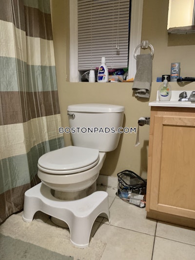 Allston 4 Beds 2 Baths Boston - $4,800