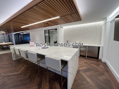 Downtown 2 Bed 2 Bath BOSTON Boston - $4,413 No Fee