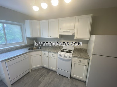 Brighton 2 Bed 1 Bath BOSTON Boston - $2,900