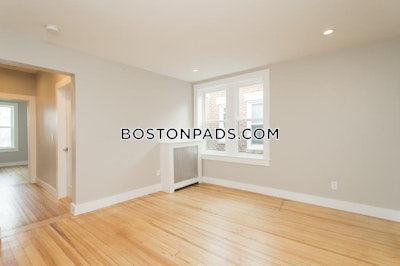 Brighton 2 Bed 1 Bath BOSTON Boston - $3,700