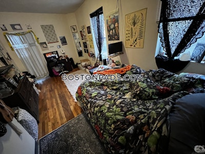 Mission Hill 2 Bed, 1 Bath Unit Boston - $3,400