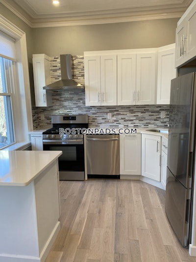 Mission Hill 4 Beds 2 Baths Mission Hill Boston - $7,500