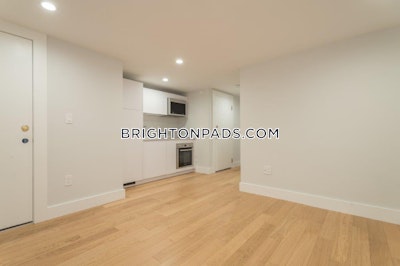 Brighton Apartment for rent 1 Bedroom 1 Bath Boston - $2,650