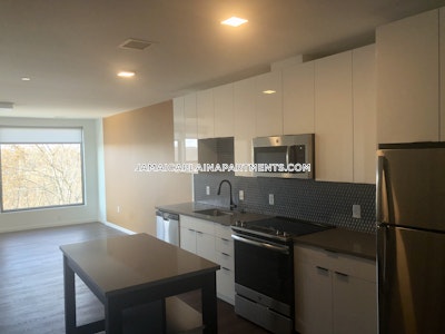 Jamaica Plain Apartment for rent 2 Bedrooms 2 Baths Boston - $4,150 No Fee