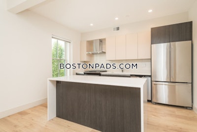 Mission Hill Apartment for rent 4 Bedrooms 2 Baths Boston - $7,270