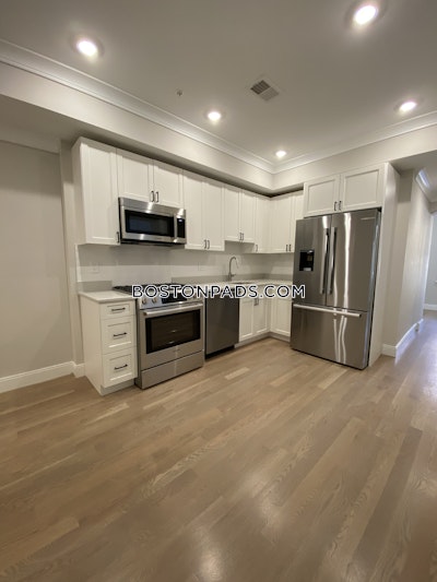 Brighton Apartment for rent 2 Bedrooms 1 Bath Boston - $4,100