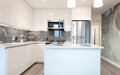 West End Apartment for rent 2 Bedrooms 2 Baths Boston - $10,059