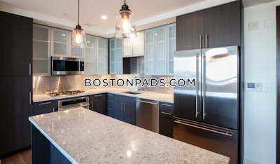 West End 1 bedroom  Luxury in BOSTON Boston - $4,398