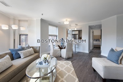 Back Bay 1 bedroom  baths Luxury in BOSTON Boston - $4,556