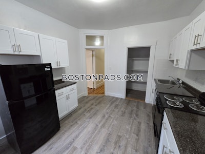 Allston/brighton Border Apartment for rent 2 Bedrooms 1 Bath Boston - $2,795 No Fee