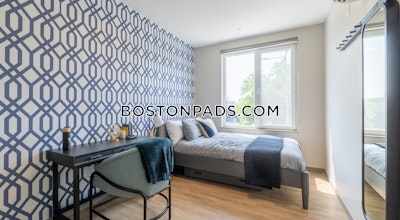 Allston Apartment for rent Studio 1 Bath Boston - $1,900 No Fee