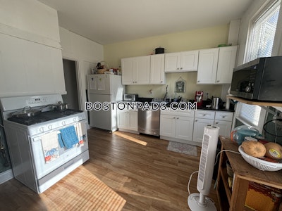 Jamaica Plain Apartment for rent 3 Bedrooms 1 Bath Boston - $4,100