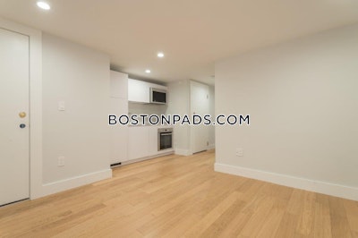 Brighton Apartment for rent 1 Bedroom 1 Bath Boston - $2,700