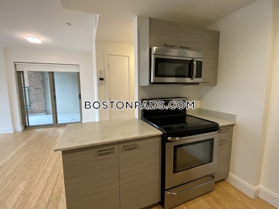 Allston Apartment for rent 2 Bedrooms 2 Baths Boston - $3,650 No Fee