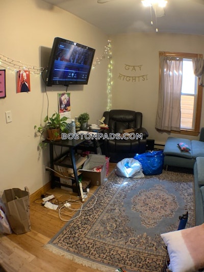 Jamaica Plain Apartment for rent 3 Bedrooms 1 Bath Boston - $3,500