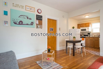 Allston/brighton Border Apartment for rent Studio 1 Bath Boston - $2,450