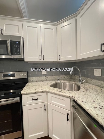 Roxbury Apartment for rent 1 Bedroom 1 Bath Boston - $2,850