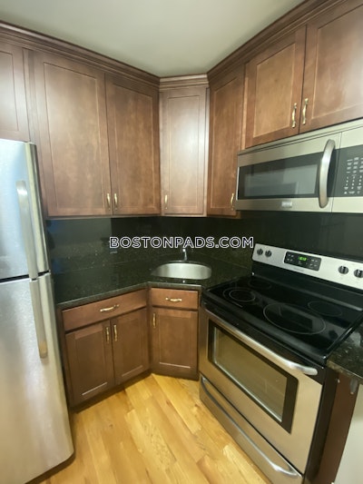 Allston/brighton Border Apartment for rent 2 Bedrooms 1 Bath Boston - $2,995 50% Fee