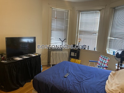 Allston/brighton Border Apartment for rent Studio 1 Bath Boston - $1,800