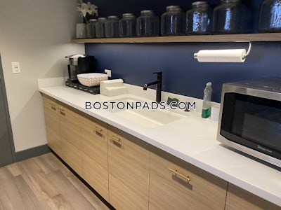 Allston Apartment for rent 1 Bedroom 1 Bath Boston - $3,215