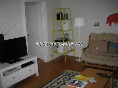 Allston Apartment for rent 1 Bedroom 1 Bath Boston - $3,250