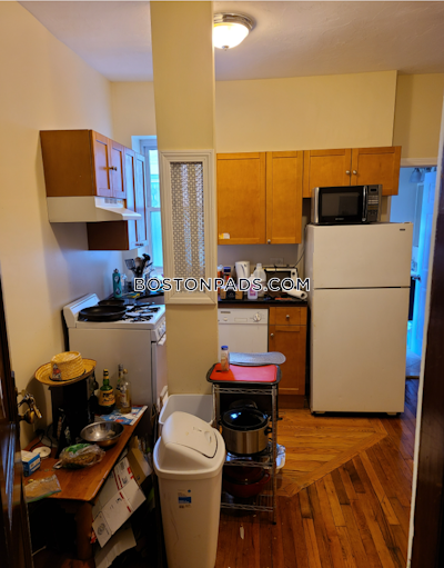 Allston Apartment for rent 1 Bedroom 1 Bath Boston - $2,650