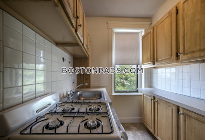 Allston Apartment for rent Studio 1 Bath Boston - $2,000