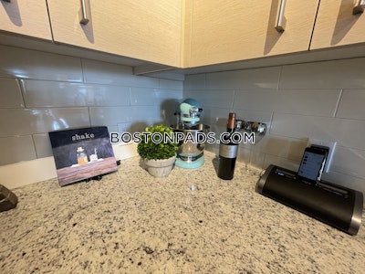 Chinatown Apartment for rent 1 Bedroom 1 Bath Boston - $3,579