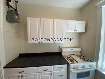 Brighton Apartment for rent 1 Bedroom 1 Bath Boston - $2,150