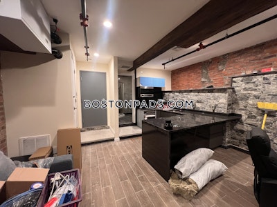 Allston Apartment for rent 1 Bedroom 1 Bath Boston - $3,300