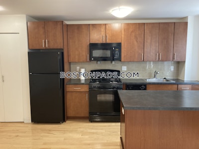 Brighton Apartment for rent 1 Bedroom 1 Bath Boston - $3,132