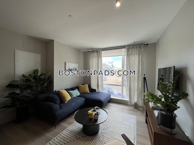 Brighton Apartment for rent 1 Bedroom 1 Bath Boston - $2,453