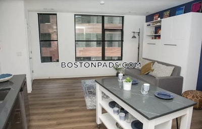 Allston Studio  Luxury in BOSTON Boston - $2,850 No Fee