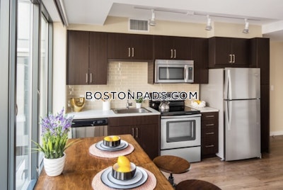 Downtown Apartment for rent Studio 1 Bath Boston - $2,835