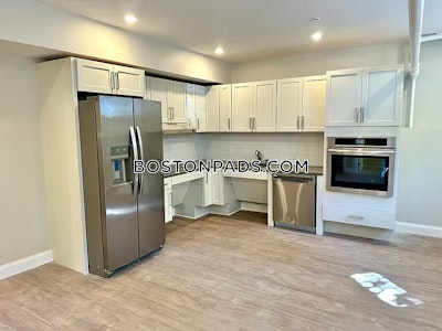 Brighton Apartment for rent 1 Bedroom 1 Bath Boston - $2,100 No Fee