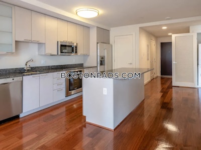 West End Apartment for rent Studio 1 Bath Boston - $3,105