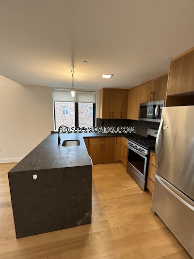 Allston Apartment for rent 2 Bedrooms 2 Baths Boston - $4,250 No Fee