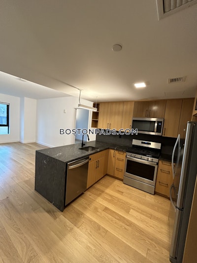 Allston Apartment for rent 2 Bedrooms 2 Baths Boston - $4,250 No Fee