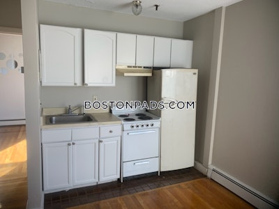 Brighton Apartment for rent 1 Bedroom 1 Bath Boston - $2,125