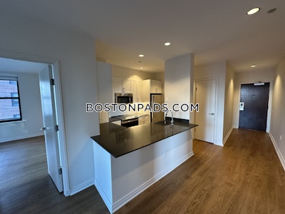 Downtown Apartment for rent 2 Bedrooms 2 Baths Boston - $4,259