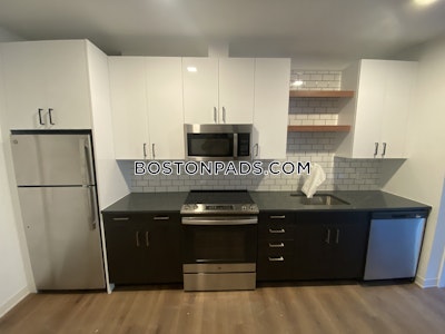 Allston Apartment for rent 1 Bedroom 1 Bath Boston - $3,072 No Fee