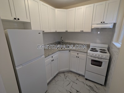 Brighton Apartment for rent 1 Bedroom 1 Bath Boston - $2,500