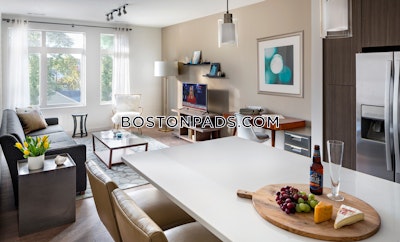 Waltham 2 bedroom 2 baths Luxury in WALTHAM - $3,583